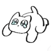 こんにゃくの画像