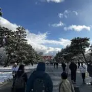 はる