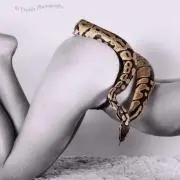 ゆー