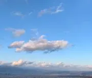 チャッピーの画像