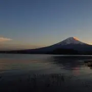 しゅり