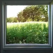 ノン♪の画像