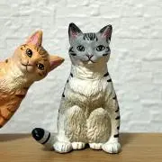 タフィーの画像