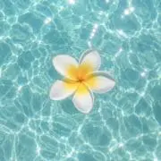 88 plumeriaの画像