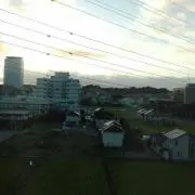 papurikaの画像