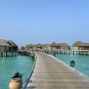 ゆの画像