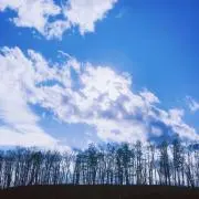 エリの画像