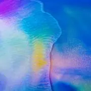 たたたの画像