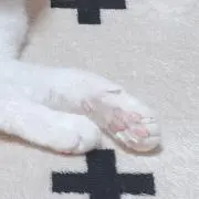 ＦＵｕ
