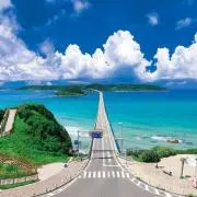 RT1974の画像