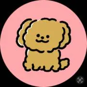 chi✩.*˚ お知らせあり！の画像