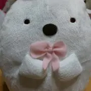 ユカの画像