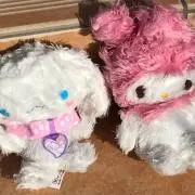 まな