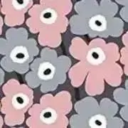 ach【8/7.8.9 発送不可】の画像
