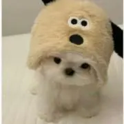 min★の画像