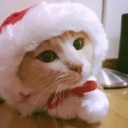 ★まろむ★の画像