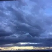 がんた