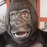ゴリゴリ夫