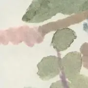harukaの画像