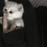 moca♡~プロフ必読~の画像