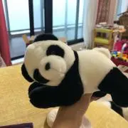duoduo
