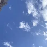 itmmの画像