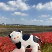 豆太郎〜プロフ必読〜の画像