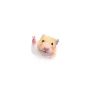 まるの画像