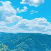 のびしろの画像