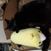 おーじろう