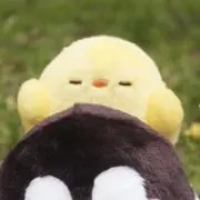 たかま