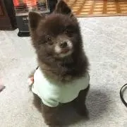 Pip0808の画像