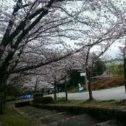 ★ゆみ★の画像