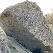 ベンダビッツの画像