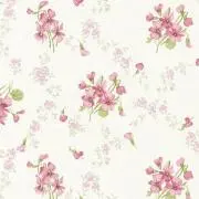shiratamamilk