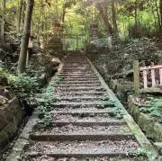 SAKURAの画像