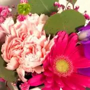 ゆずの画像