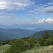 うちこの画像