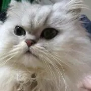 引っ越しの為断捨離中！！みおん✳︎