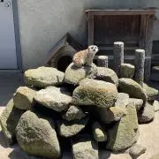 ひとみん※プロフ確認の画像