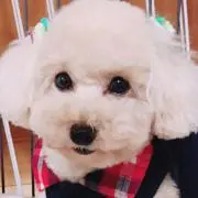 さゆり
