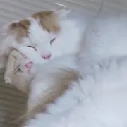 25の画像