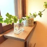 える