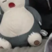 Rの画像