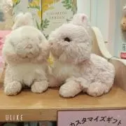 うさぎ
