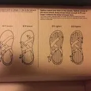 プロフ必読