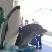 ユキ⭐︎の画像