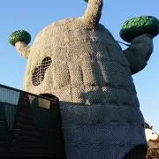 タケの画像