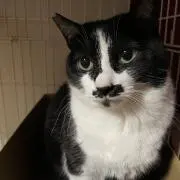 みい　プロフ読んでください♪の画像