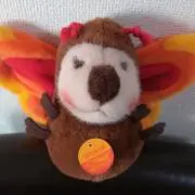 ケイティの画像